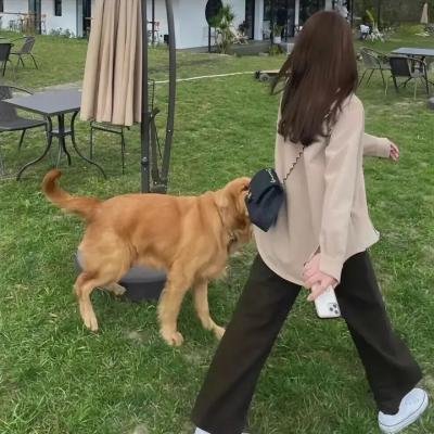 葡萄牙修女